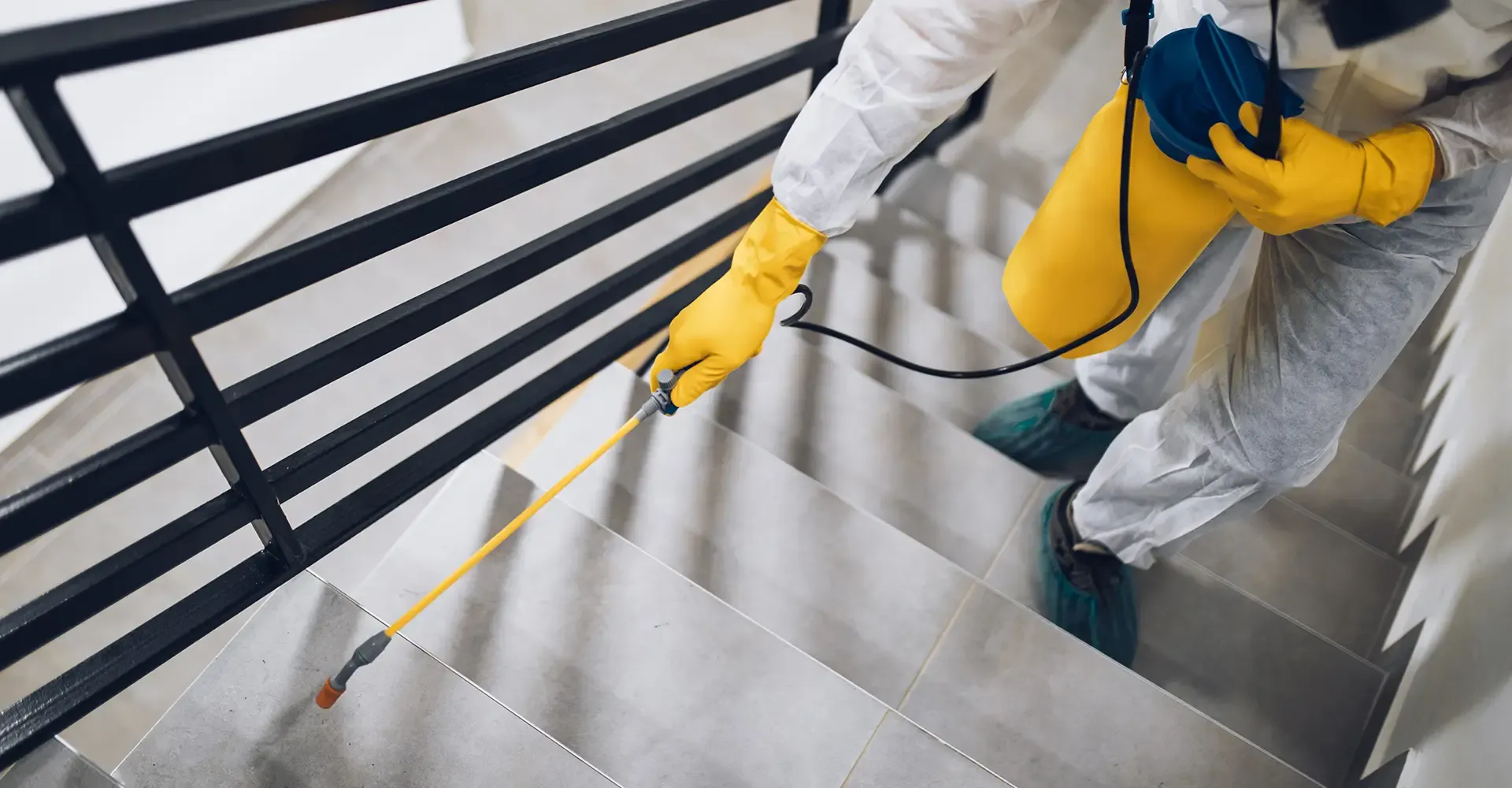 Pest Control Tallahassee Tallahassee Pest Control Pest Library