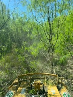 Yellow off-road vehicle driving through a green wooded trail under a clear blue sky