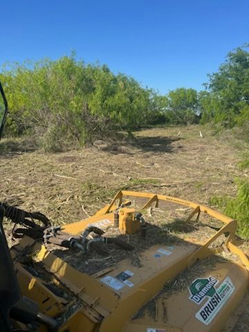 Yellow brush-clearing machine on a dirt path in a scrubby field under a clear blue sky