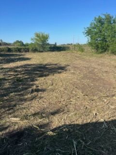 Dry grassy field with scattered trees under a clear blue sky.