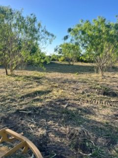 Dry, grassy clearing with scattered green trees under a blue sky, with a chair edge in the foreground