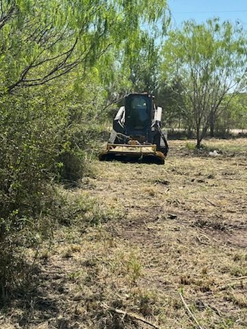 Skid steer with brush mower clearing dry grass in a wooded field