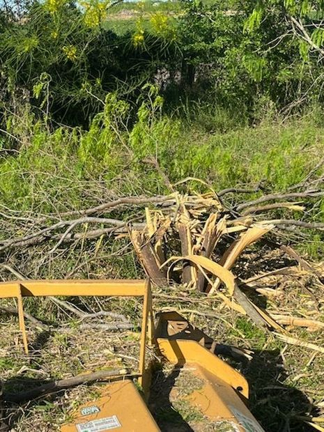Orange bulldozer clearing brush and fallen branches in a wooded area