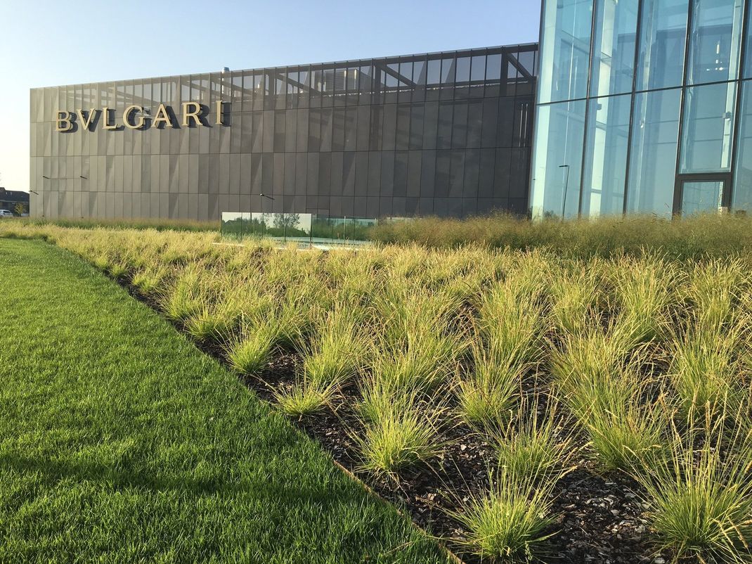 Bulgari FOTO 1