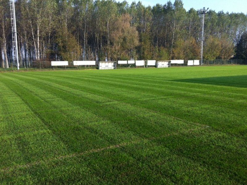 realizzazione giardini