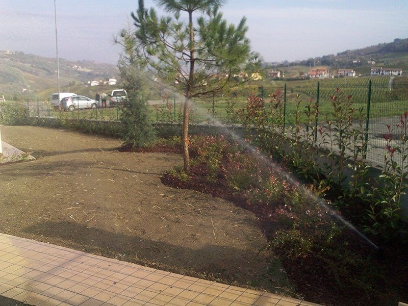irrigazione