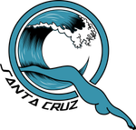 Quicksilver Santa Cruz Logo
