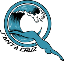 Quicksilver Santa Cruz Logo