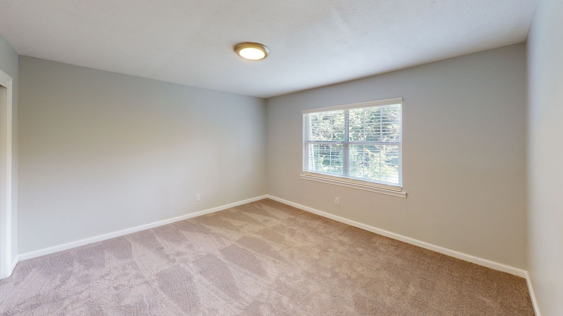 Empty beige carpeted bedroom with gray walls, white trim, a ceiling light, and one window.