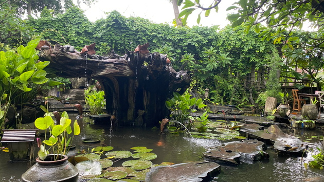 A lush garden pond with a large driftwood centerpiece, lily pads, and stone stepping stones under dense greenery.