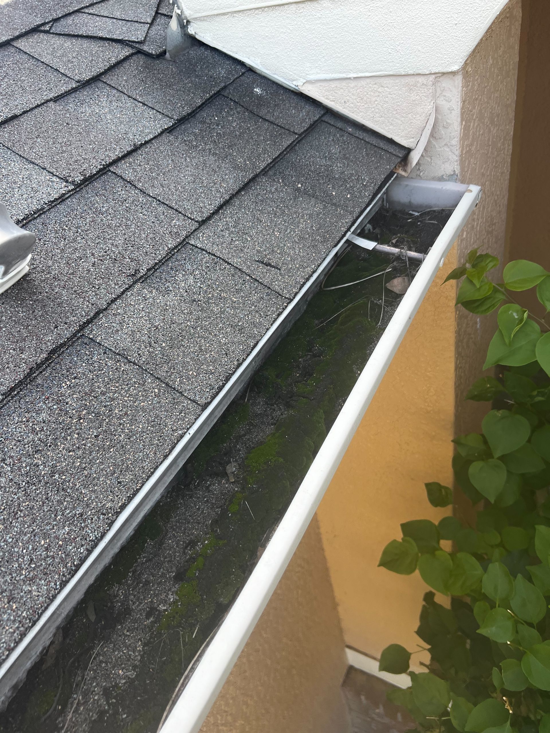Gutter Cleaning Services Near Me Gutter Cleaning Services Near Me