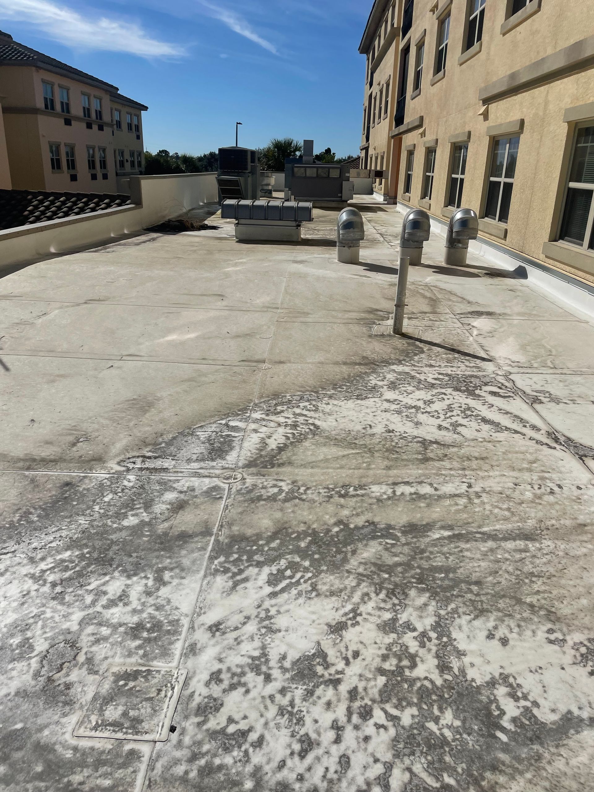 power washing apopka fl

