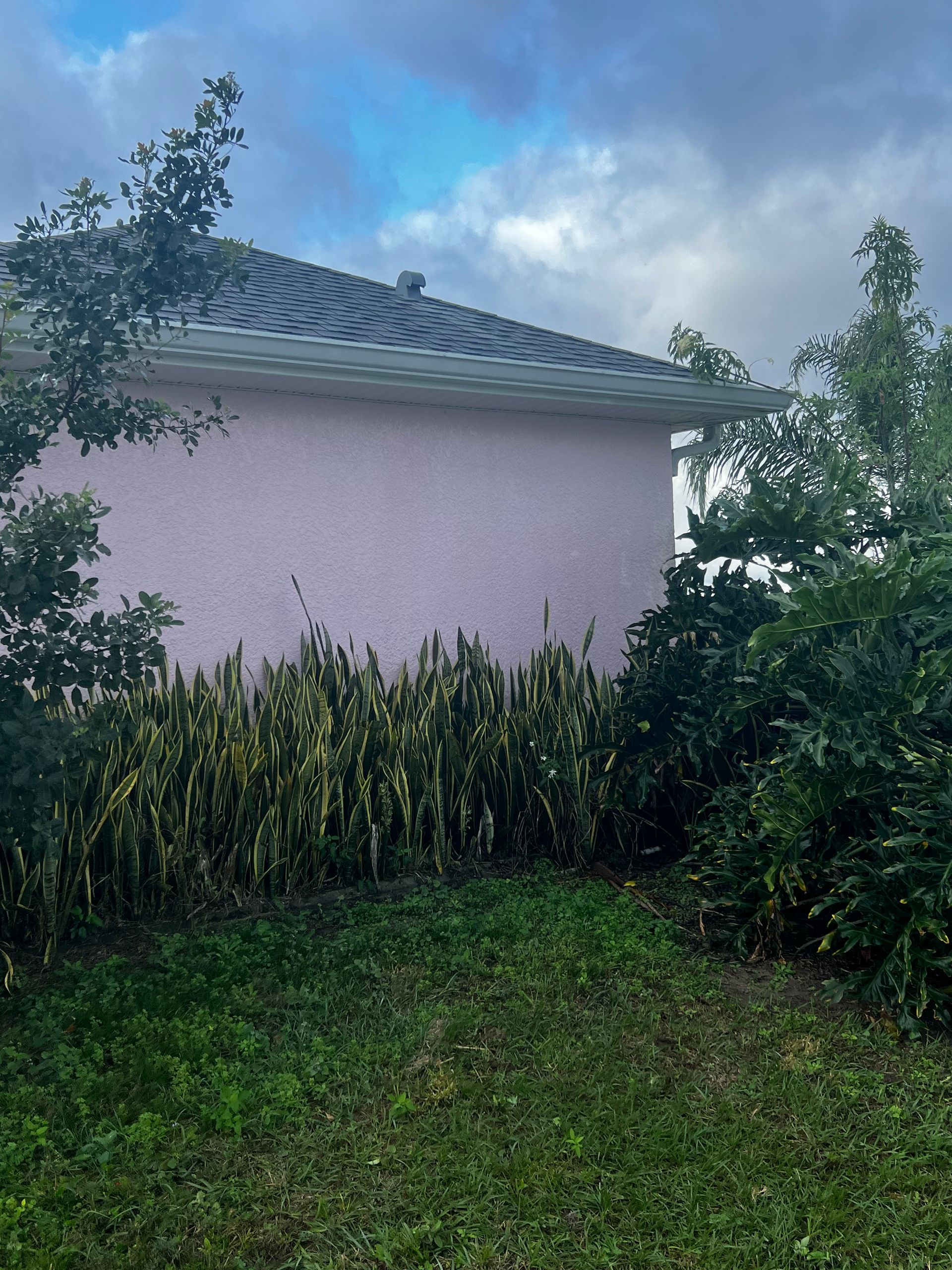 power washing services

