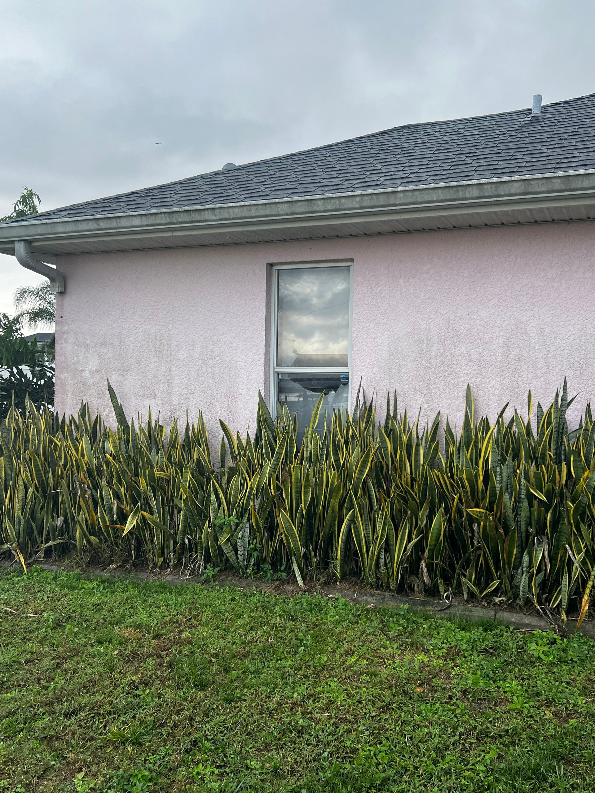 power washing apopka fl

