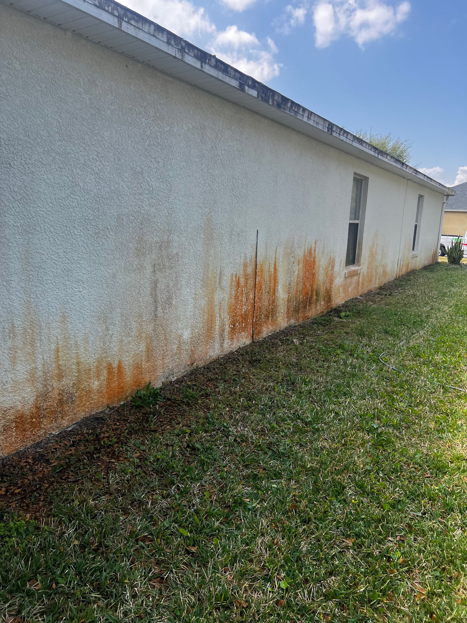 roof washing near me

