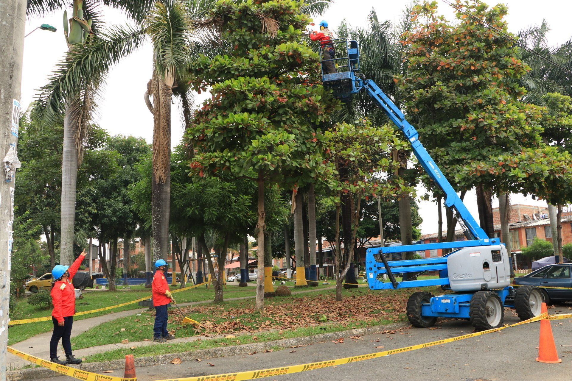 Inagan Ingeniería mantenimiento de zonas verdes