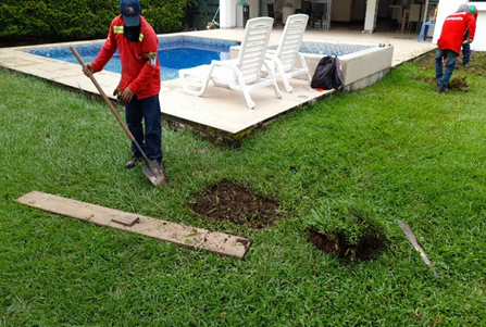 Inagan Ingeniería diseño de jardines
