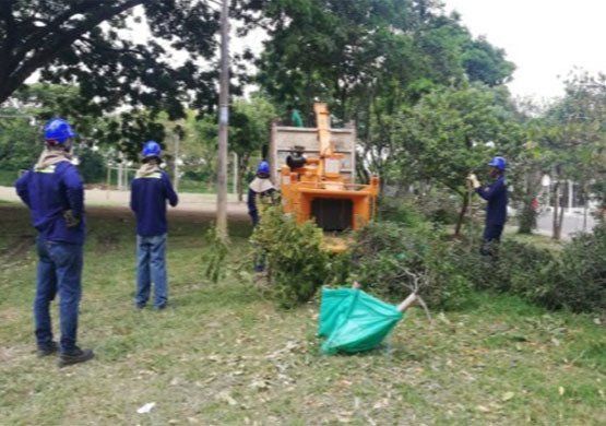 Inagan Ingeniería poda de arboles