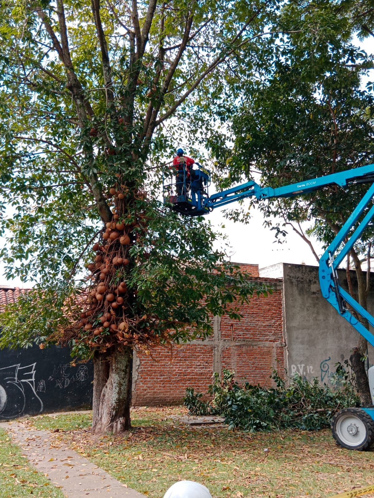 Inagan Ingeniería gestion de zonas verdes