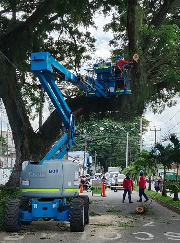 Inagan Ingeniería mantenimiento de zonas verdes