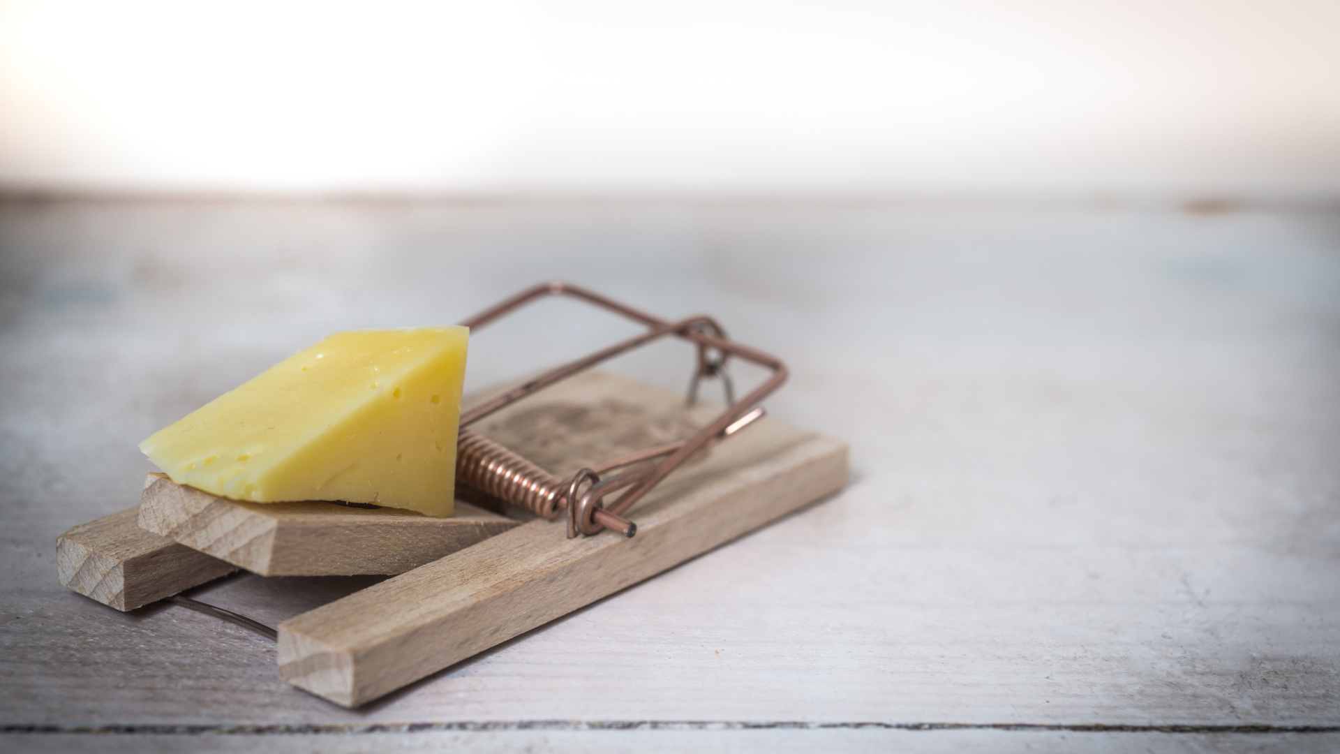 Yellow mouse trap on a wooden surface with a block of cheese as bait