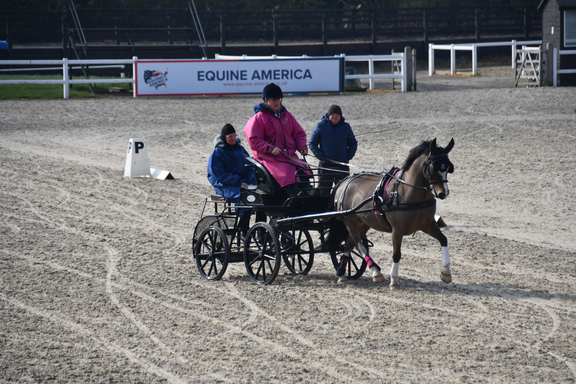 THE CRICKLANDS FESTIVAL OF CARRIAGE DRIVING | GB POD TRAINING