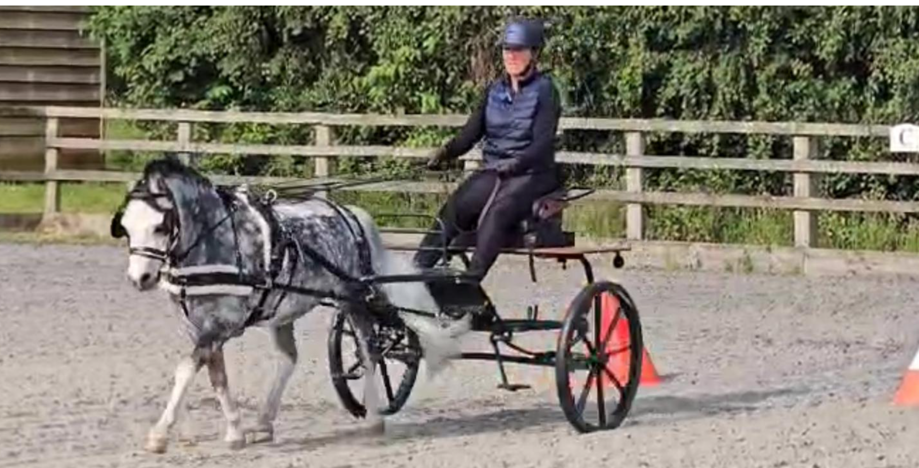 GBPOD Training Camp at Lincomb Equestrian 