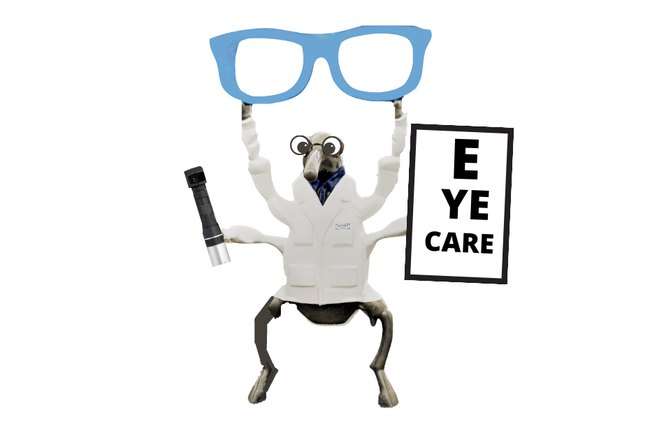 Dr Ima C Betterman Weevil Bender Eye Clinic Enterprise, AL