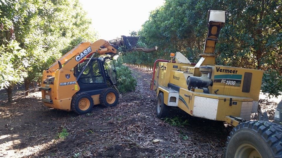 A Case Skid Steer Is Parked Next To A Verner Chipper — A1 Tree Service in Childers, QLD