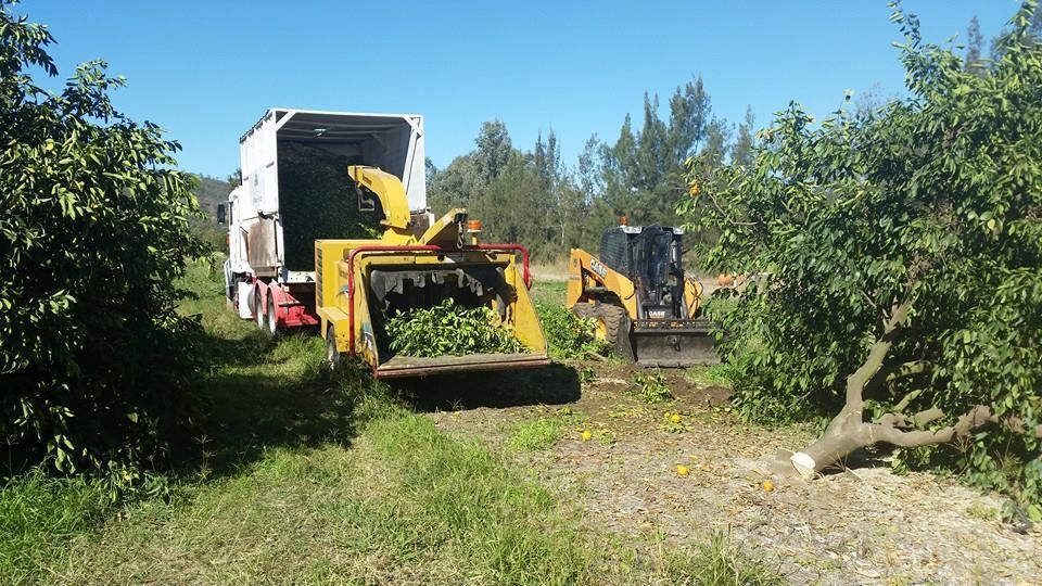 A Tractor Is Cutting Down Trees In A Field — A1 Tree Service in Childers, QLD