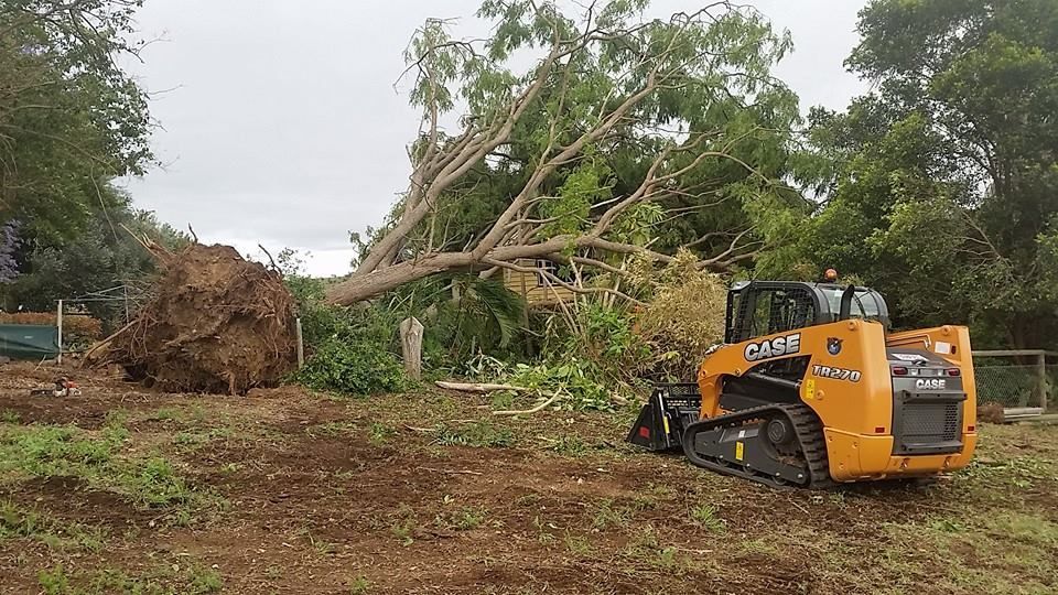 A Bulldozer is Cutting Down a Tree in a Field — A1 Tree Service in Kensington, QLD