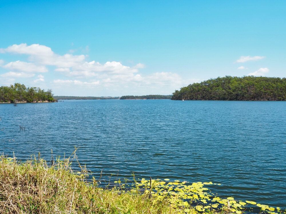 Grass Bush with Sea Behind it — A1 Tree Service in Gin Gin, QLD
