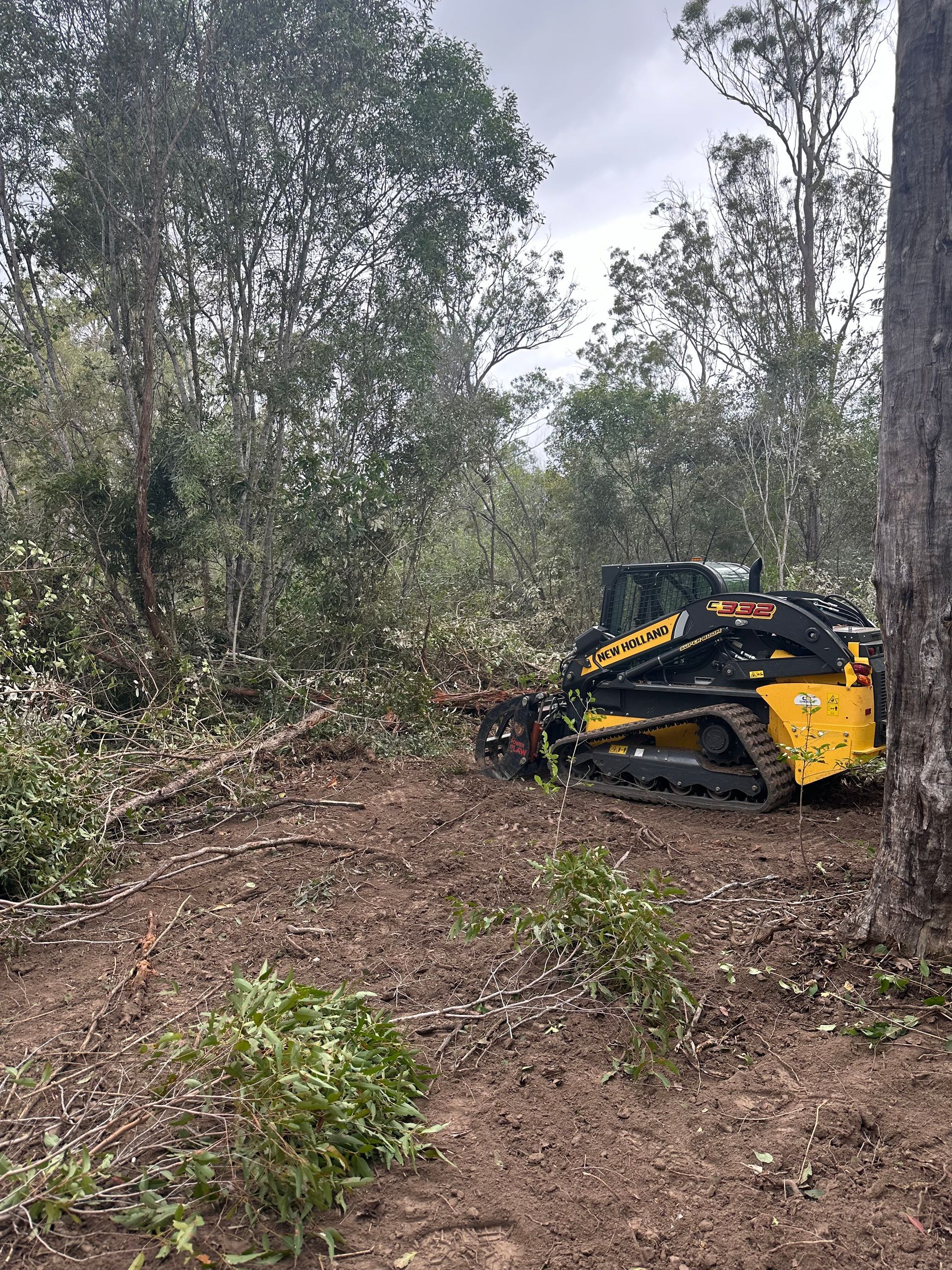 A Man is Driving a Bulldozer Through a Forest — A1 Tree Service in Childers, QLD