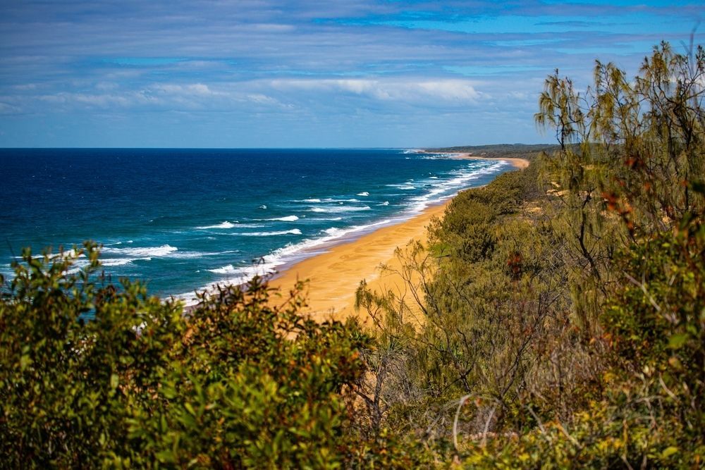 View of Beach from the Top of A Hill — A1 Tree Service in Agnes Waters, QLD