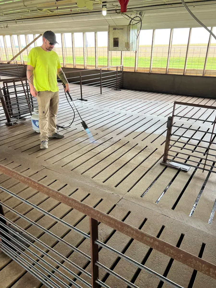 A man is cleaning the floor of a barn with a vacuum cleaner.