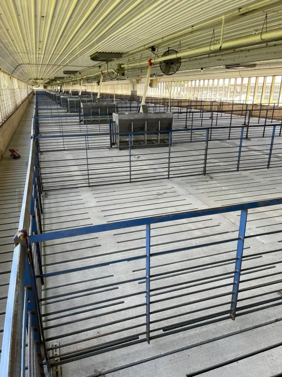 A row of pig pens with a blue railing in a barn.