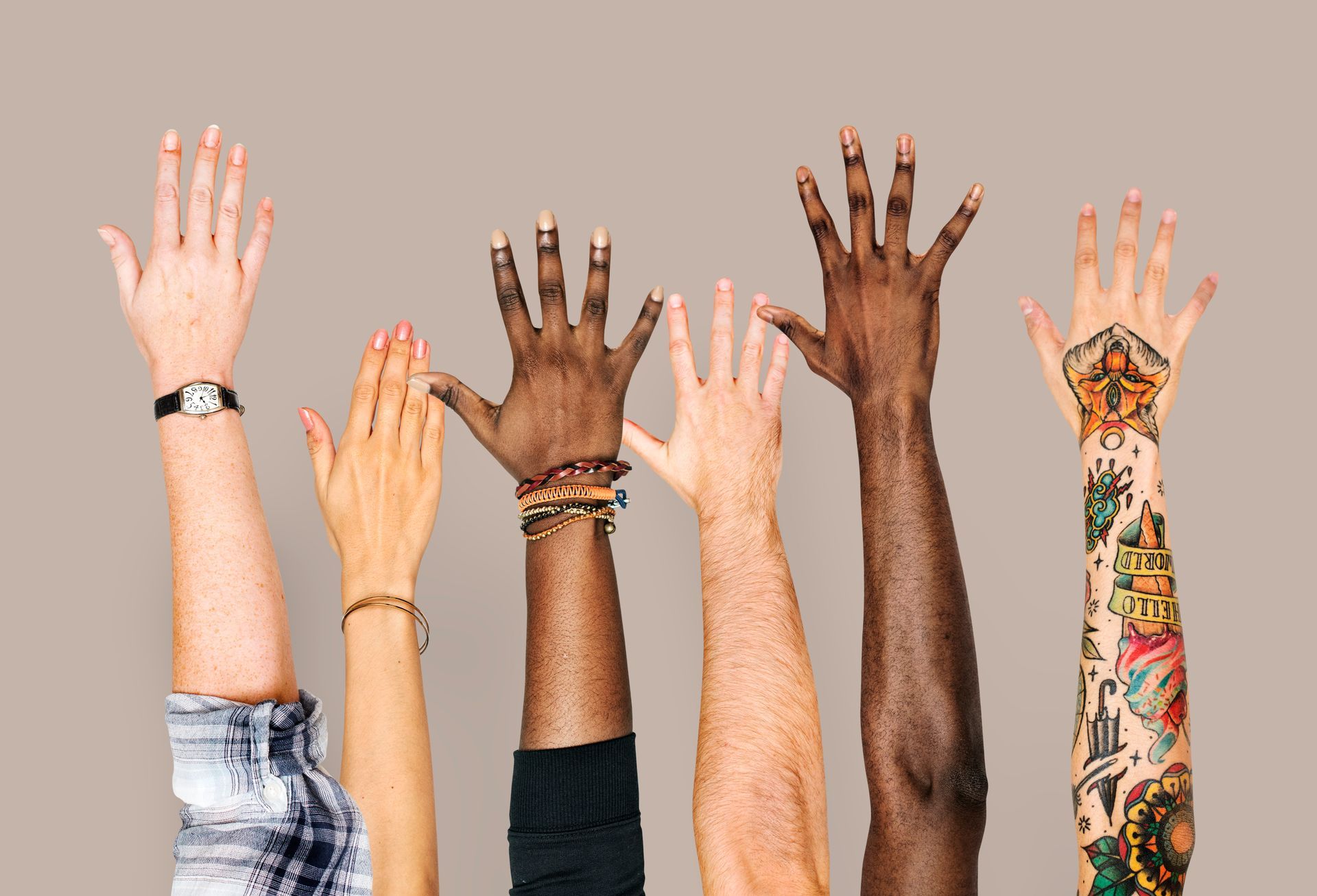 A group of people are raising their hands in the air.