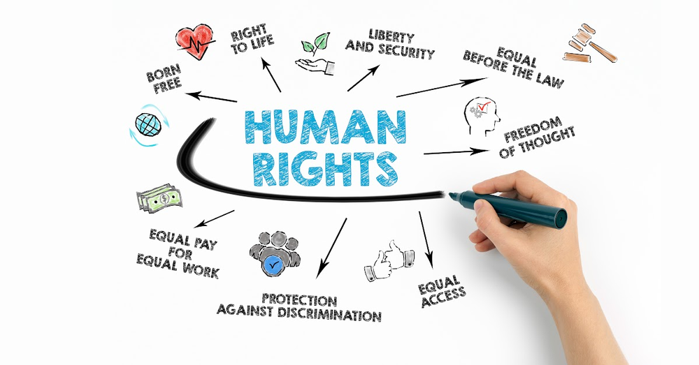 A person is writing on a whiteboard about human rights.