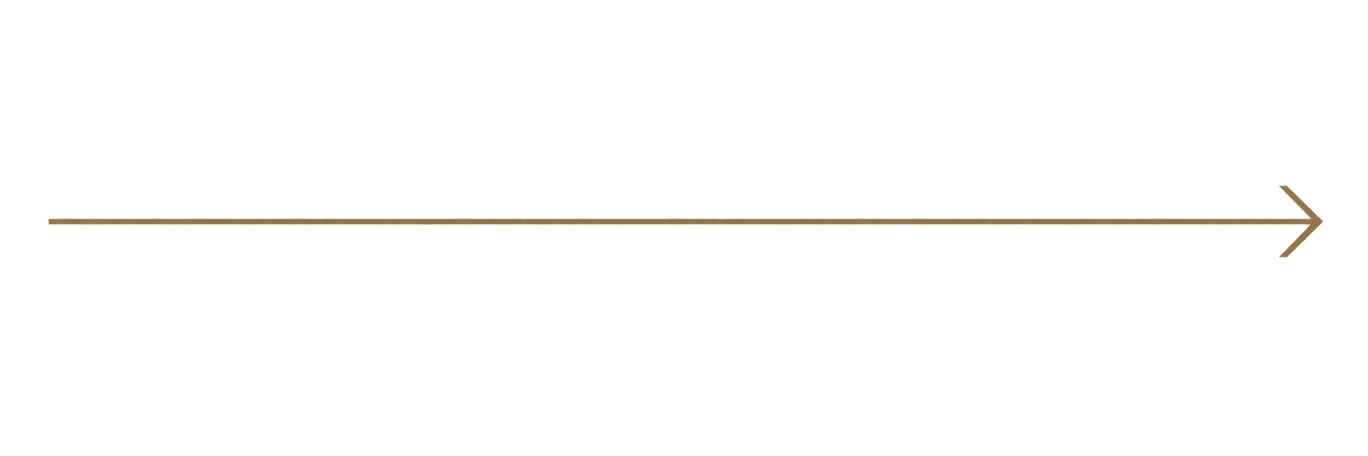 Thin tan horizontal line ending in a right-pointing arrow on a white background