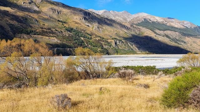 Golden trees along a braided river valley below the mountains