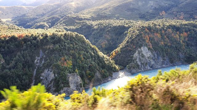 A river gorge winding through bush-covered hills