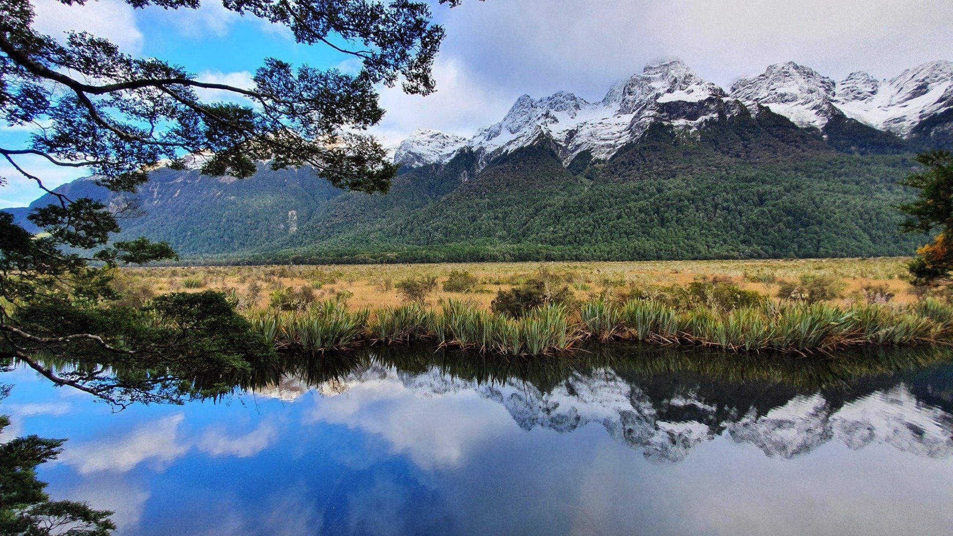 The Sir Edmund Hillary Explorer - South Island Train Tour in New Zealand.