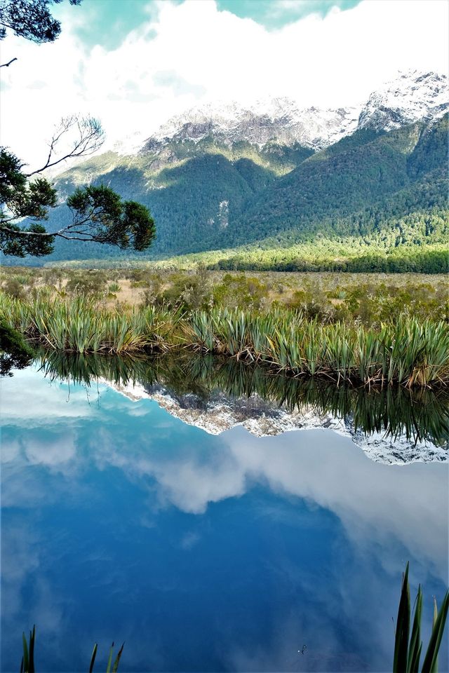 Mountains and sky reflected in a still lake, framed by reeds