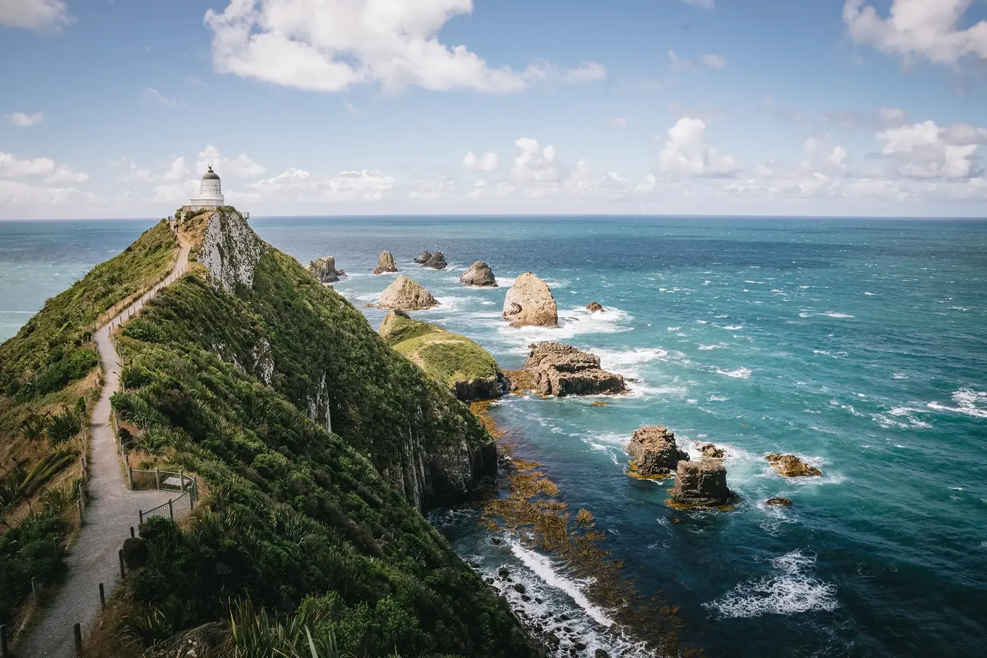 South Island Train Tours in New Zealand