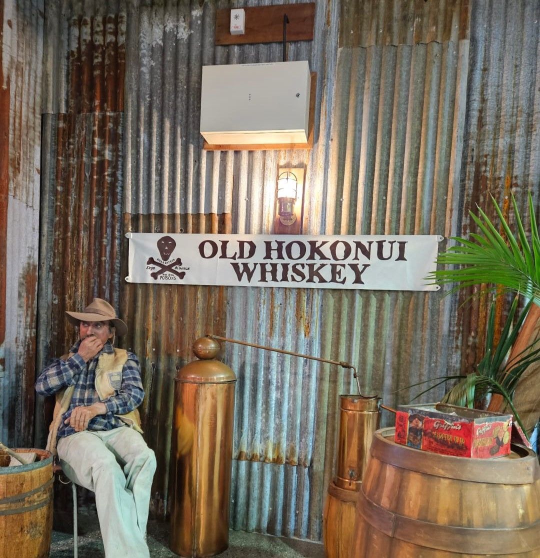 Experiences on the Sir Edmund Hillary Train Journey