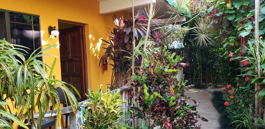 Yellow building with a wooden door, surrounded by lush green and red plants, and a narrow path.