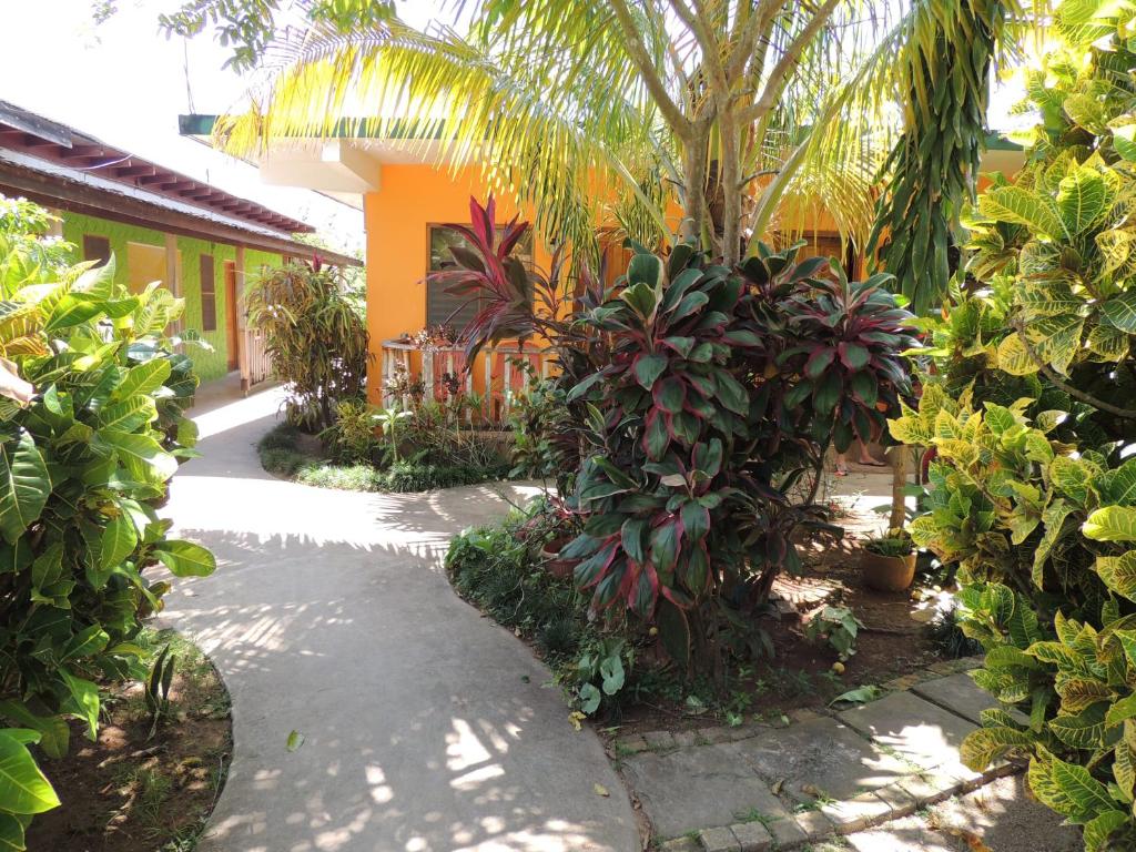 Pathway through lush garden leads to colorful building.