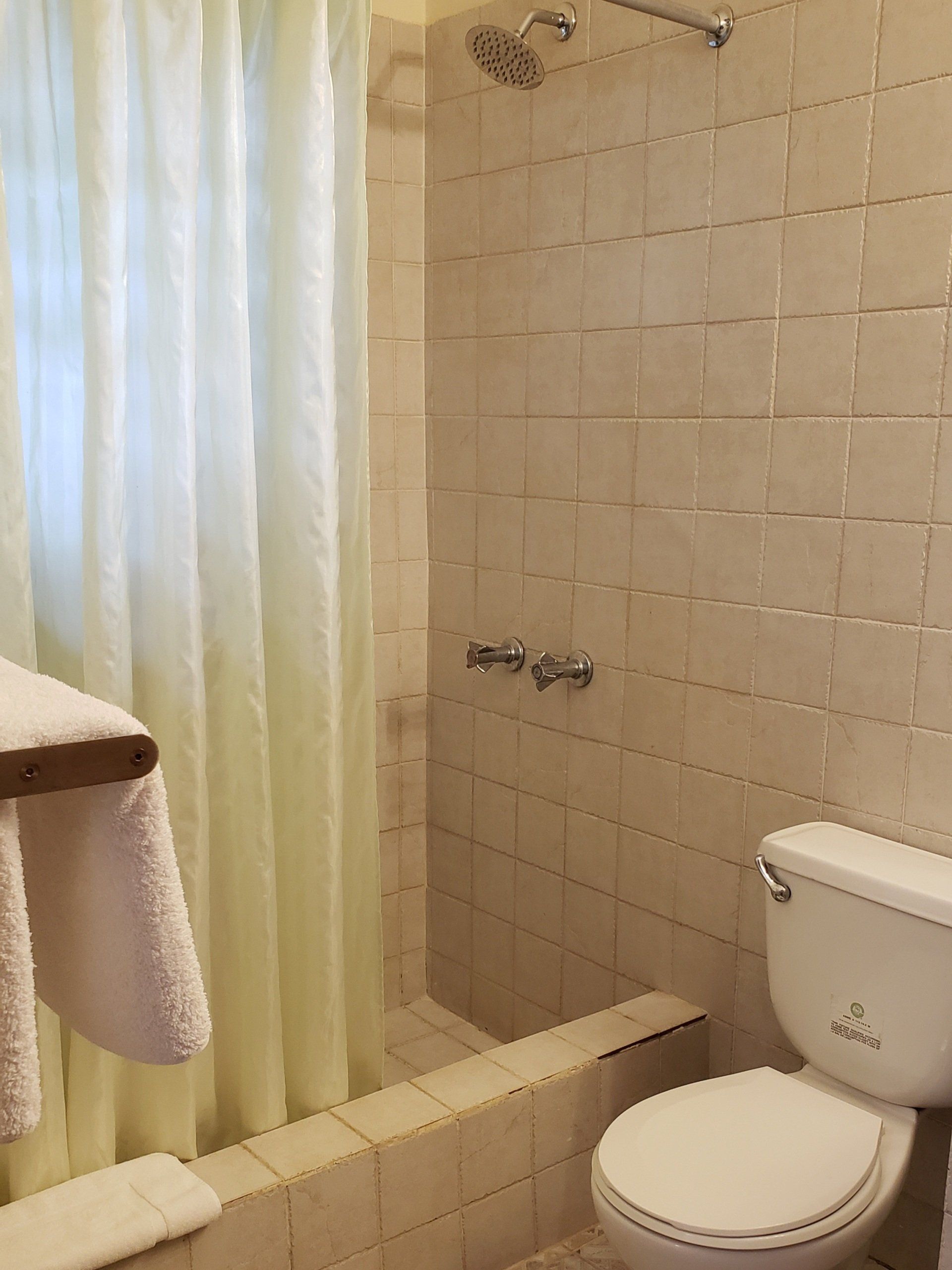 Bathroom with beige tiled shower, toilet, and curtain. Towel rack on left.
