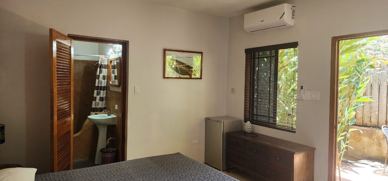 Bedroom interior with open doors to bathroom and outdoor area. Air conditioner, artwork, and furniture visible.