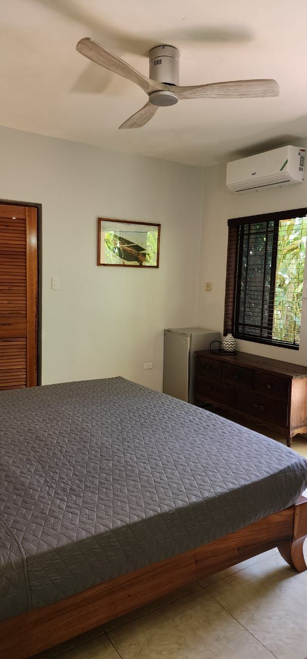 Bedroom with a bed, ceiling fan, artwork, window, and small refrigerator.